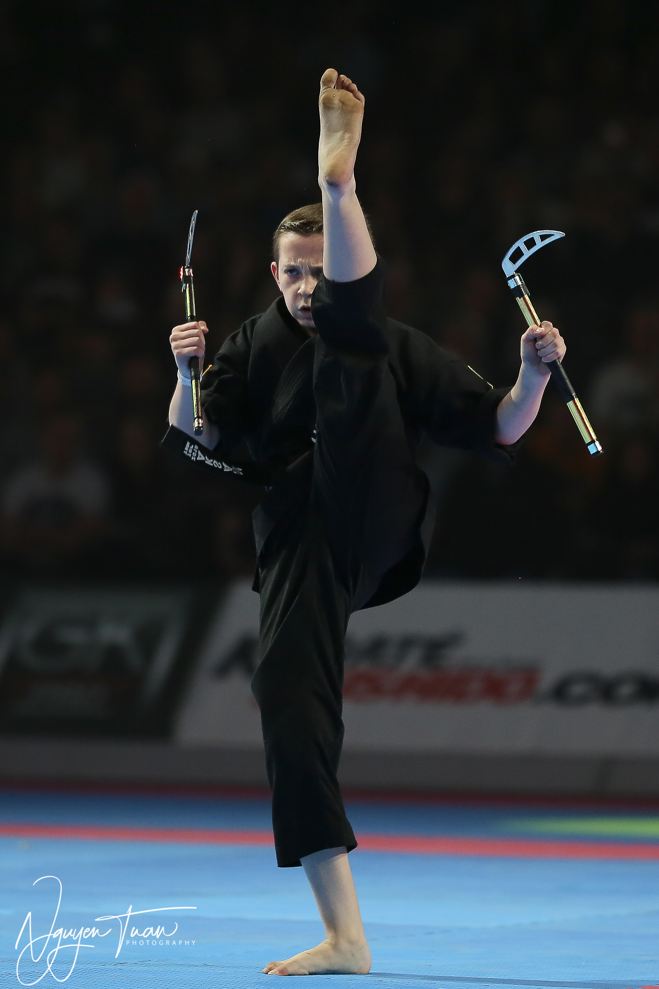 20190324 Festival des Arts Martiaux 4825